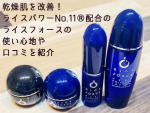 繝ｩ繧､繧ｹ繝輔か繝ｼ繧ｹ-300x225.png